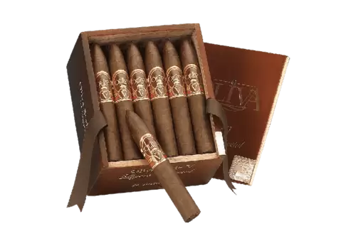 Rolled cigars in the humidor isolated on transparent background. Real expensive premium Cuban cigars