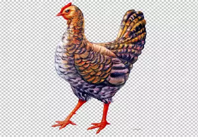 Fluffy yellow chick hatching surrounded by green meadow transparent background PNG