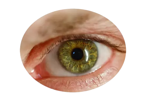 Vertical closeup shot of an elderly human's light eye PNG