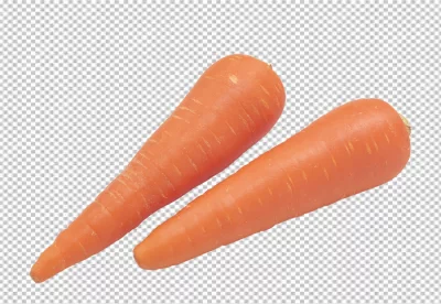 Carrot with slice isolated on a transparent background