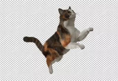 Cute Black Kitten in Sitting Pose