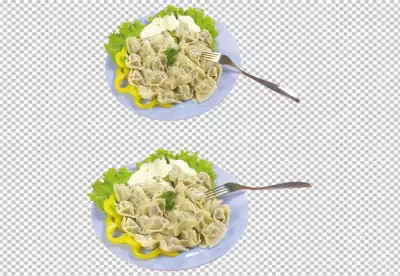 Traditional ethnic cuisine dishes from meat and dough with ravioli dumplings khinkali varenyky realistic