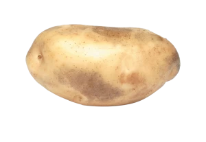 A single Potatoes looking so Fresh