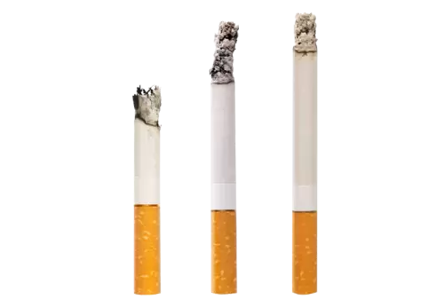 Several whole cigarettes and one smoking cigarette on a transparent background surface 