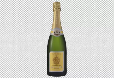 Bottle of wine or champagne 