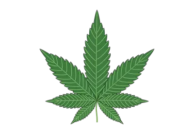 Marijuana leaf on isolated png