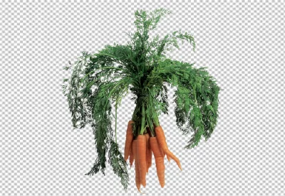 Isolated PNG of Carrot on transparent background for Carrot Day