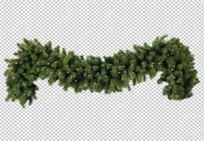 Isolated holly sprig covered in snow on transparent