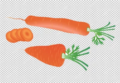 Carrots, carrots with a tops and leaves isolated. Nature carrot