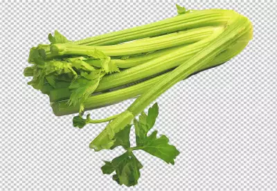 Vegan cuisine celery stems with leaf transparent background 