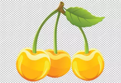 Big cherry on PNG background