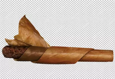 Burning cigarette on transparent  background