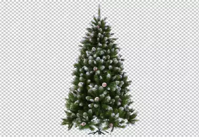 Christmas treen transparent background