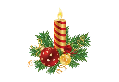 Christmas composition of green fir branches,