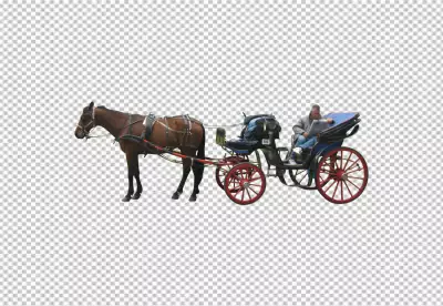 Classic carriage with man transparent background 