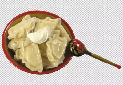 Guangdong style cooking s shrimp dumplings