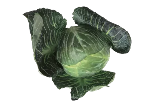 A green vegetable with a  transparent background