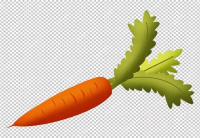 Ripe organic carrots , on the transpaernt  surface.
