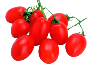 Many Natural tomatoes isolated