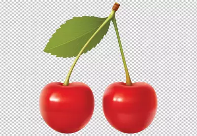 Black pepper isolated on transparent background PNG