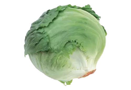 Organic  green vegetarian nutrition  transparent background