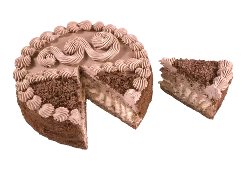 Chocolate sponge cake decorated with cocoa syringes  transparent background