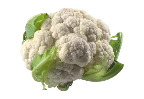 Cauliflower on transparent background