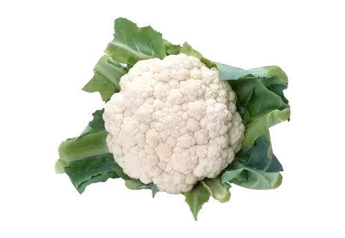 Top view cauliflower with leaves transparent background