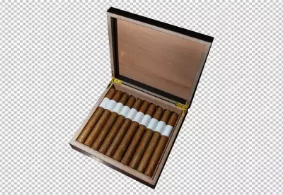 Poisonous nicotine drop on wet leaf  transparent background 