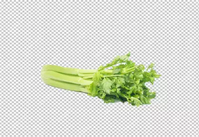 Fresh and Healthy Celery Stalks Top View Layout of Delicious Vegetarian Food Isolated on transparent background 