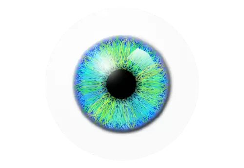 Realistic human eye transparent background