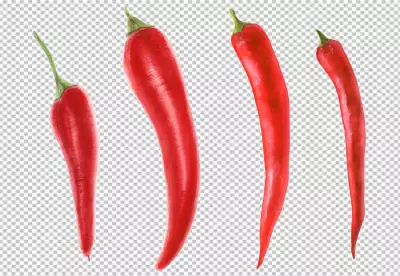 Chilis isolated in pastel background PNG