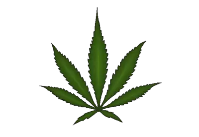 Single cannabis leaf on a transparent background