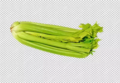 Celery png transparent
