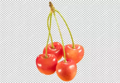 Cherries isolated on PNG background