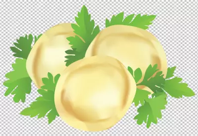 Macroshot Food Super Premium Dumpling transparent background 