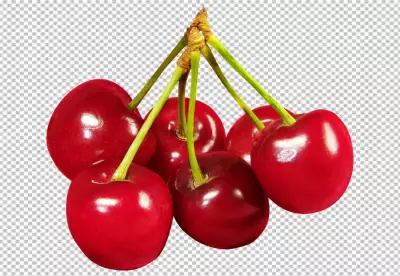 Cherry with leaves isolated transparent background 