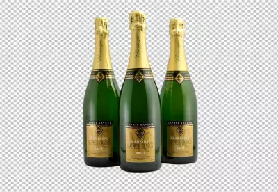 Set of different champagne bottle