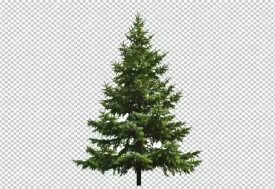 Christmas pine with balls and stars PNG