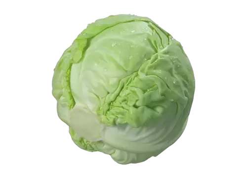 Organic  green vegetarian nutrition PNG