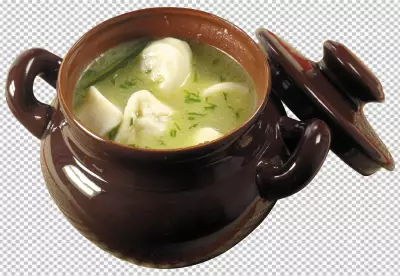 Macroshot Food Super Premium Dumpling