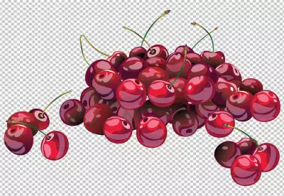 Cherry Isolated on transparent background