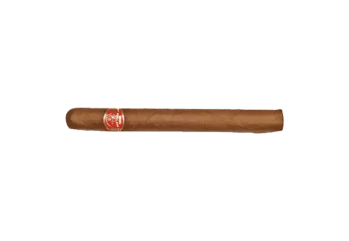 Large cigar alone