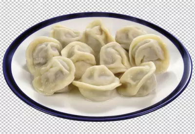 Tasty Russian meat dumplings decorated with red onions and herbs png