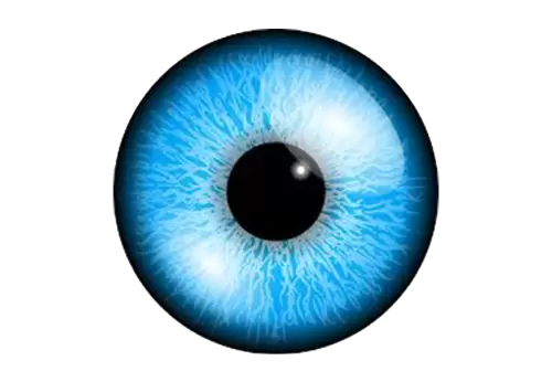 ris eyes Human iris with blood veins Eye