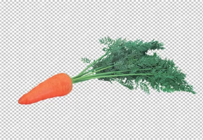 A carrot and a carrot on a transparent background