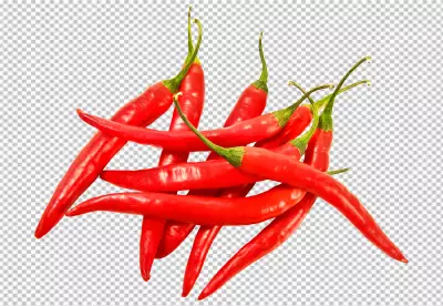 Chili Jalapeno isolated on transparent background