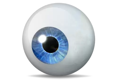 ingle eyeball with blue iris isolated on transparent background