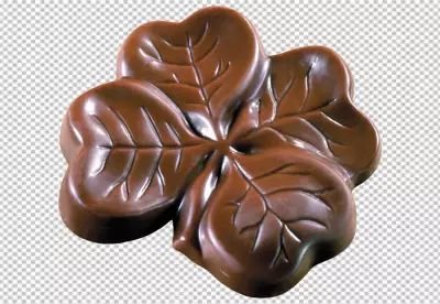 chocolate pieces are isolated on a png background
