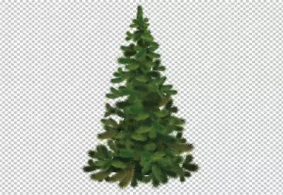 Lovely christmas tree collection with realistic design PNG